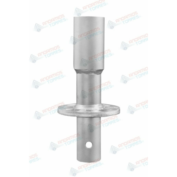 Roseta Base (RBL)